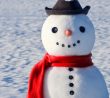 Roztomilý sněhulák