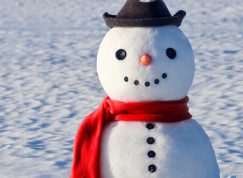 Roztomilý sněhulák