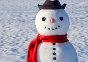 Roztomilý sněhulák