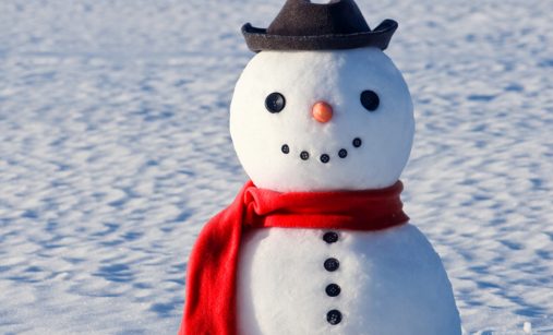 Roztomilý sněhulák