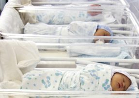 Novorozenci v porodnici