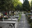 Hřbitovní cestička a hroby