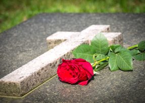 růže na hrobě