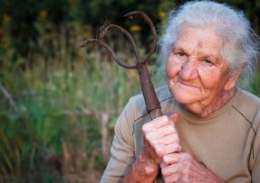 Stará babička pracuje na zahradě