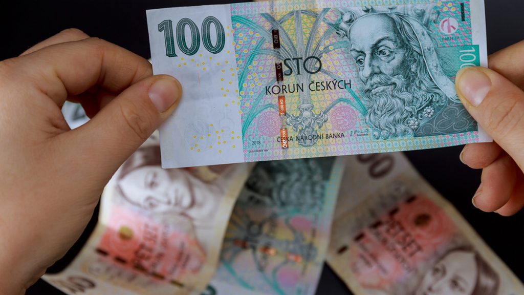 Ruce drží stokorunu